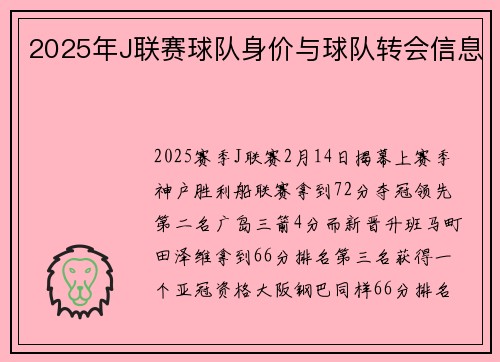 2025年J联赛球队身价与球队转会信息